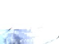 abbeys vids x wikk