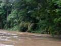 videos de Costa Rica Trip 3