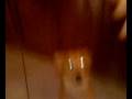 videos de Il cane che mangia i plasmon al volo.mp4