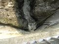 valle verzasca.wmv