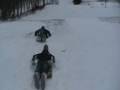 videos de Sledding (Running)