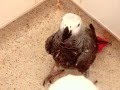 Ruby's Shower Routine!