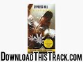 cypress