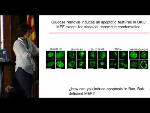 Killing cancer cells by targeting glucose metabolism