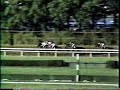 John Henry - 1981 Jockey Club Gold Cup