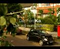 Ford Ka gegen Taube