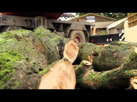 Devon Tree Services - our Tree Works in action in Torquay, Dartmouth, Torbay and other areas in the South West.