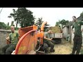Devon Tree Services - our Tree Works in action in Torquay, Dartmouth, Torbay and other areas in the South West.