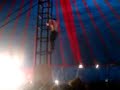 Foals, guys on tent pole Foals, guys on tent pole