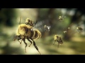 Thumbnail #1