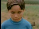 GRAPES OF WRATH - Peace Of Mind