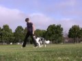 Heeling fading the hand cue