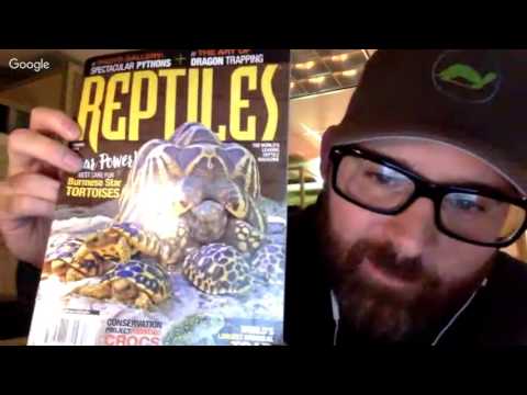 YouTube reptile video
