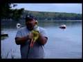 videos de Chicken Golf