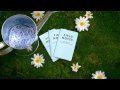 Field Notes Colors