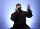 Ask A Ninja Special Delivery 20 - \"Future of Online Video\" Ask A Ninja Special Delivery 20 - \"Future of Online Video\"