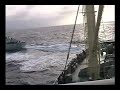 Sea Shepherd Attacks Japanese Whaling fleet.  Feb 09, 2007/A