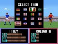 this was on the snes launch lineup in europe, makes sense due to the sports popularity. this game did very well in japan, and its not bad at all, taking on a somewhat odd 