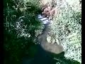 M�is vertidos r�o Alvedosa