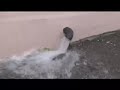 beauceville is sinking