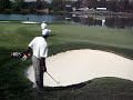 MJ and Tiger