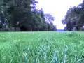 videos de runningcity In London, Kensington Gardens to Serpentine Gall