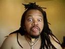 JAMAICAN KICKS DOG JAMAICAN KICKS DOG