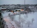 La nevicata vista da Montesacro Alto, Roma