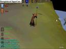 Ice Bursting in Castle Wars