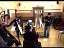 Harp -  Diego Workshop Caraco Practice 1