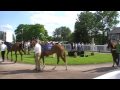 Horse Racing Worcester Race Course 24th June 2009 (7 of 8)