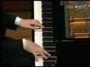 maestro paik kun woo plays liszt tarantella
he once mentioned, he looks highly of the pianism of 
jorge bolet and sviatoslav richter.
