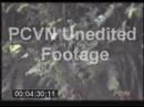 rodent footage rodent footage