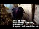 Jashn-e-Azadi documentary film Jashn-e-Azadi documentary film