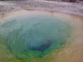 morning glory, yellowstone