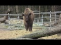 Tierpark Olderdissen - Bielefeld