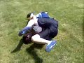 Franky vs. Workman 1 Franky vs. Workman 1