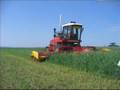 macchine agricole strane(strange tractor)