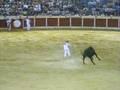 videos de eloy en calanda