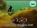 Zikir 20 sifat Allah.. Dari VCD Senandung Sufi terbitan Asyik Ngaji Production..