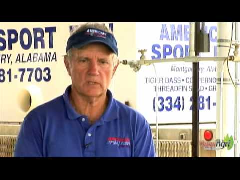 how to fertilize pond