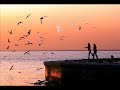 SEViM TAN-LiMAN YORUM: EYÜP DUMAN