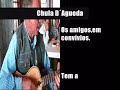 Chula D´Agueda