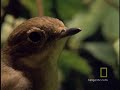 Snail Zombies