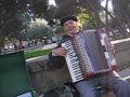 Accordion player