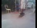 kickflip