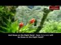 Surah Al Waqiah Recitation Part1/2
