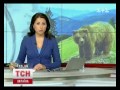 Видеоновость Прикарпатье. Нападение медведя на мужчину | Ведмідь лише облизався, але гуцула не з`їв
