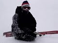 cangurus da neve cangurus da neve