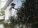 De San Pedro a Ist�n